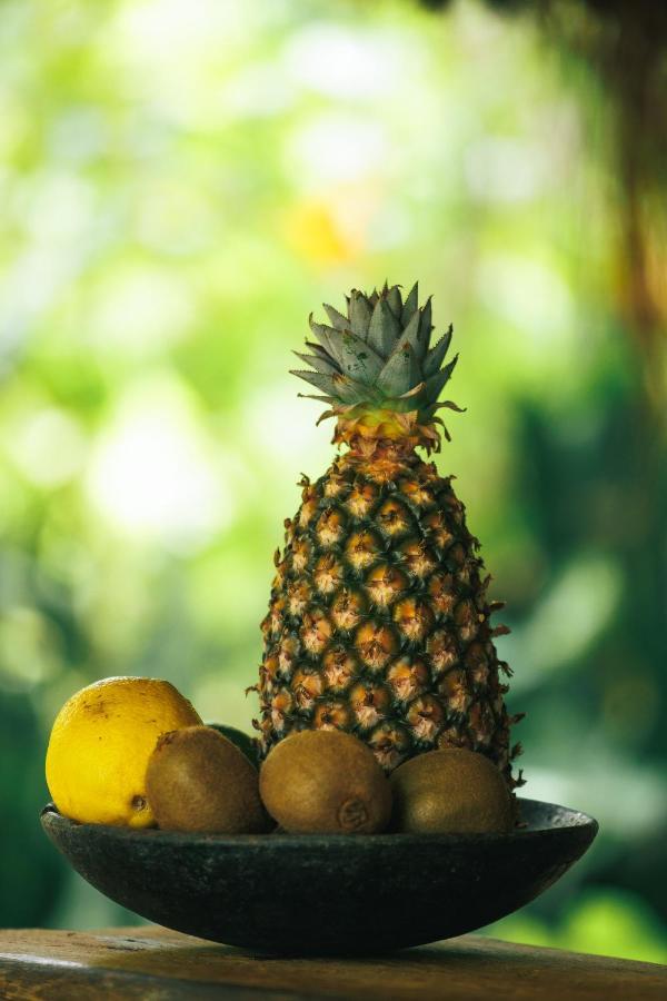 Pousada Pouso Da Mare Velha Boipeba エクステリア 写真